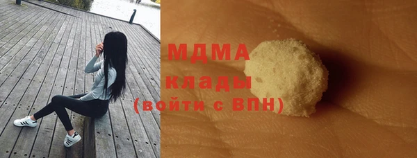 шишки Аркадак