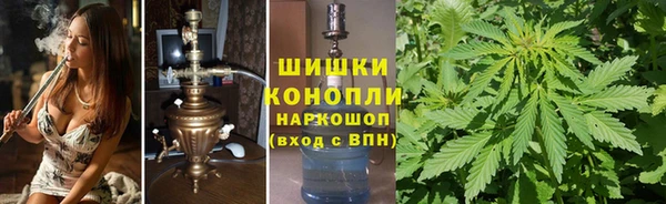 шишки Аркадак