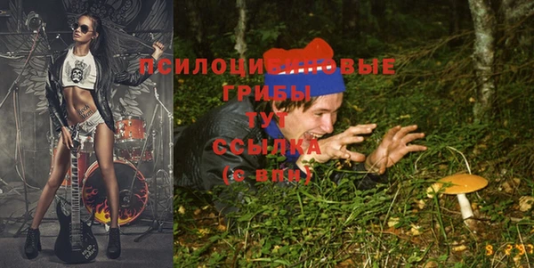 ешки Арсеньев